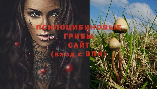 apvp Вязники