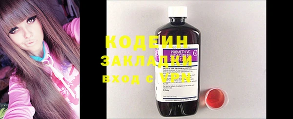 индика Вязьма