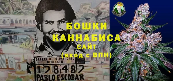 винт Вяземский