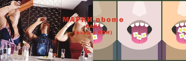 индика Вязьма