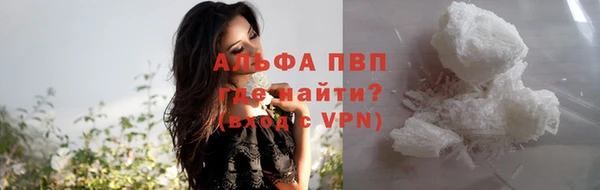 винт Вяземский