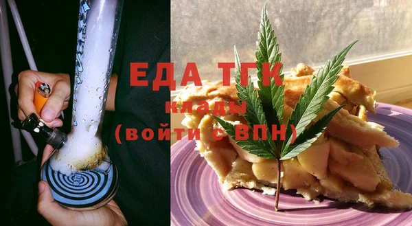 индика Вязьма