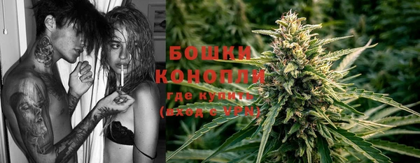 индика Вязьма