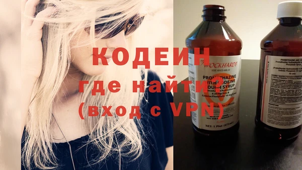 индика Вязьма