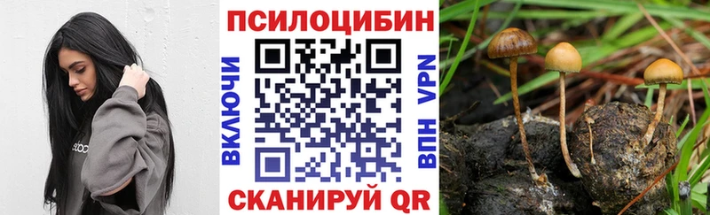 Псилоцибиновые грибы MAGIC MUSHROOMS  гидра ссылка  это какой сайт  Энгельс 