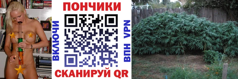 Бошки марихуана гибрид  Энгельс 
